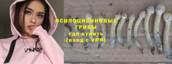 круглые Осинники