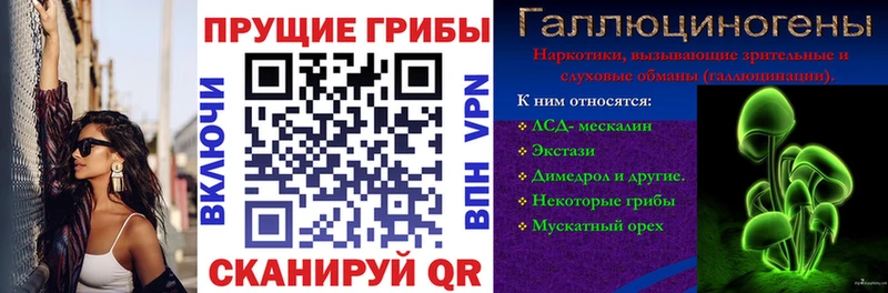 Галлюциногенные грибы MAGIC MUSHROOMS  Строитель 